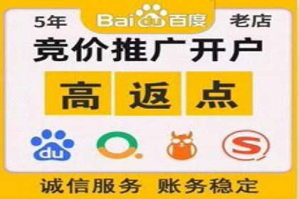 百度广告投放技巧：案例解析助力品牌增长